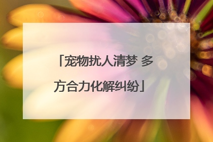 宠物扰人清梦 多方合力化解纠纷