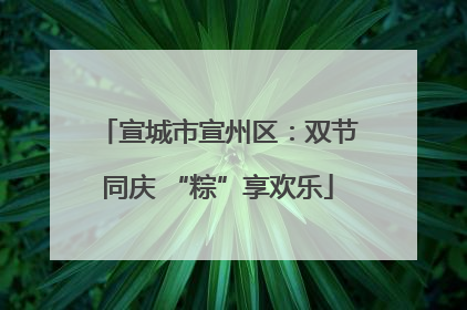 宣城市宣州区：双节同庆 “粽”享欢乐