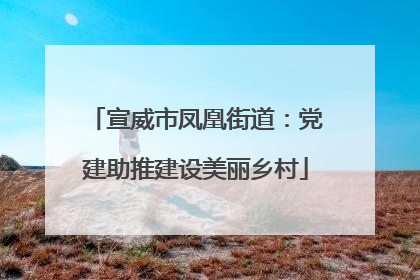 宣威市凤凰街道：党建助推建设美丽乡村