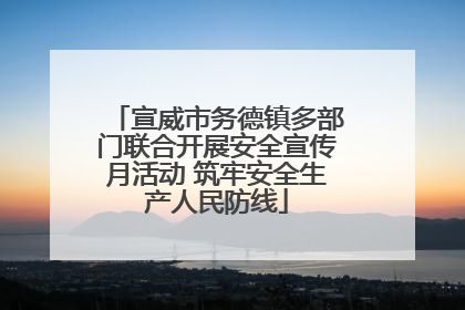 宣威市务德镇多部门联合开展安全宣传月活动 筑牢安全生产人民防线