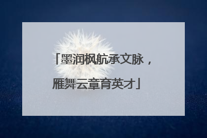 墨润枫航承文脉，雁舞云章育英才