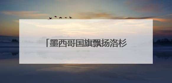 墨西哥国旗飘扬洛杉矶 白宫：看，罪证