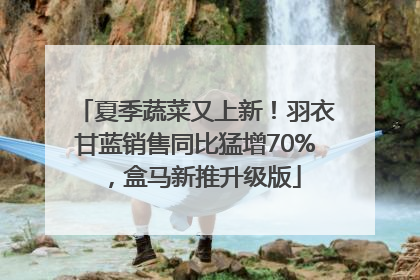 夏季蔬菜又上新！羽衣甘蓝销售同比猛增70%，盒马新推升级版