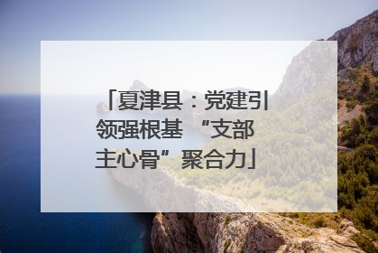 夏津县：党建引领强根基 “支部主心骨”聚合力