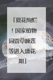 夏花绚烂！国家植物园萱草睡莲等进入盛花期