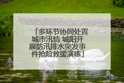 多环节协同处置城市汛情 城阳开展防汛排水突发事件抢险救援演练