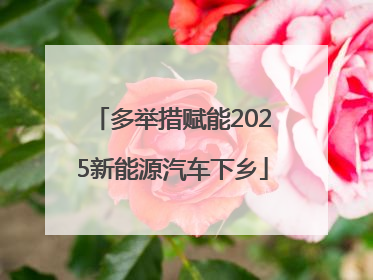 多举措赋能2025新能源汽车下乡