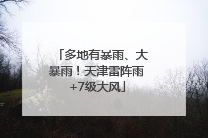 多地有暴雨、大暴雨！天津雷阵雨+7级大风