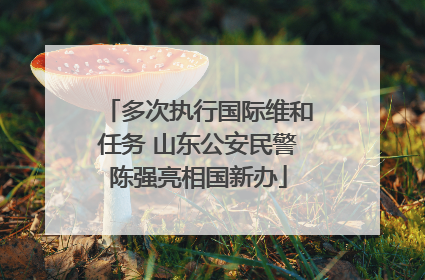 多次执行国际维和任务 山东公安民警陈强亮相国新办