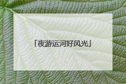 夜游运河好风光
