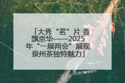 大秀“茗”片 香飘京华——2025年“一展两会”展现泉州茶独特魅力