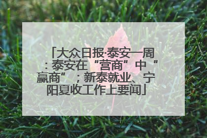 大众日报·泰安一周：泰安在“营商”中“赢商”；新泰就业、宁阳夏收工作上要闻
