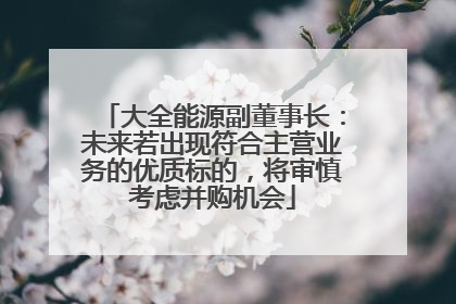 大全能源副董事长：未来若出现符合主营业务的优质标的，将审慎考虑并购机会