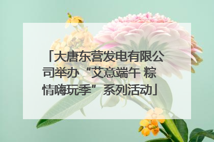 大唐东营发电有限公司举办“艾意端午 粽情嗨玩季”系列活动