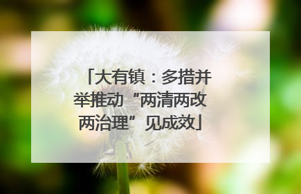 大有镇：多措并举推动“两清两改两治理”见成效