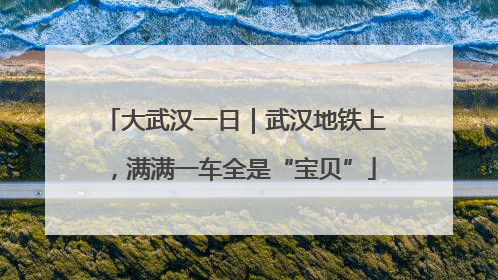大武汉一日｜武汉地铁上，满满一车全是“宝贝”