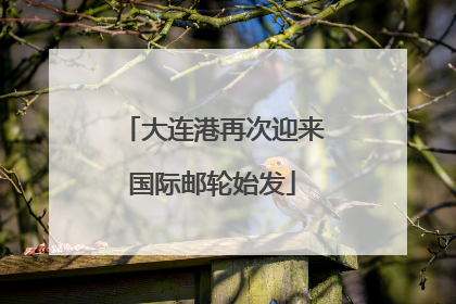大连港再次迎来国际邮轮始发