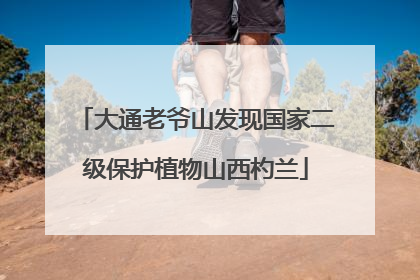 大通老爷山发现国家二级保护植物山西杓兰