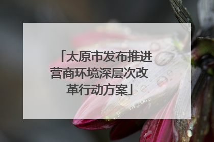 太原市发布推进营商环境深层次改革行动方案
