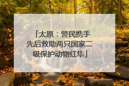 太原：警民携手 先后救助两只国家二级保护动物红隼