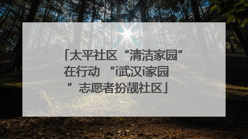 太平社区“清洁家园”在行动 “i武汉i家园”志愿者扮靓社区