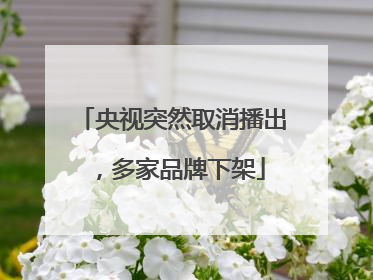 央视突然取消播出，多家品牌下架