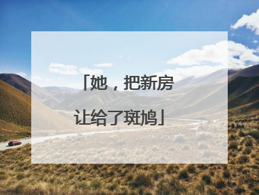 她，把新房让给了斑鸠