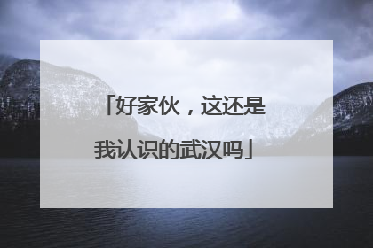 好家伙，这还是我认识的武汉吗