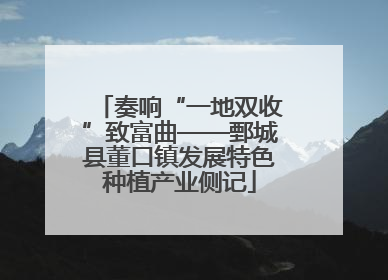 奏响“一地双收”致富曲——鄄城县董口镇发展特色种植产业侧记