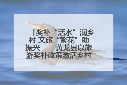 奖补“活水”润乡村 文旅“繁花”助振兴——黄龙县以旅游奖补政策激活乡村振兴新动能