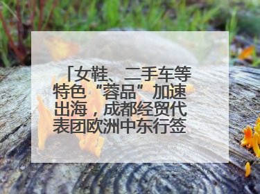 女鞋、二手车等特色“蓉品”加速出海，成都经贸代表团欧洲中东行签单逾3.7亿元