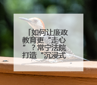 如何让廉政教育更“走心”？常宁法院打造“沉浸式”庭审课堂