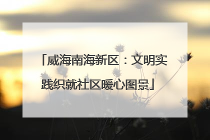 威海南海新区：文明实践织就社区暖心图景