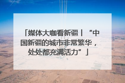 媒体大咖看新疆丨“中国新疆的城市非常繁华，处处都充满活力”