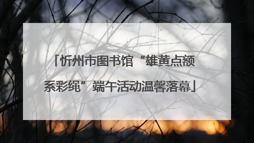 忻州市图书馆“雄黄点额 系彩绳”端午活动温馨落幕