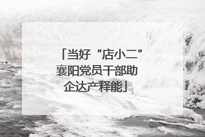 当好“店小二” 襄阳党员干部助企达产释能