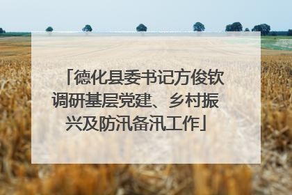 德化县委书记方俊钦调研基层党建、乡村振兴及防汛备汛工作
