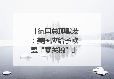 德国总理默茨：美国应给予欧盟“零关税”
