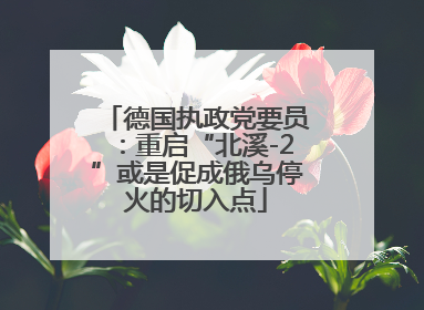德国执政党要员：重启“北溪-2”或是促成俄乌停火的切入点