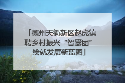 德州天衢新区赵虎镇聘乡村振兴“智囊团” 绘就发展新蓝图