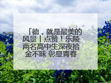 德，就是最美的风景丨点赞！乐陵两名高中生深夜拾金不昧 彰显青春正能量