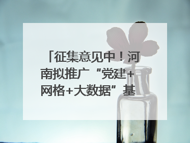 征集意见中！河南拟推广“党建+网格+大数据”基层治理模式