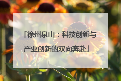 徐州泉山：科技创新与产业创新的双向奔赴