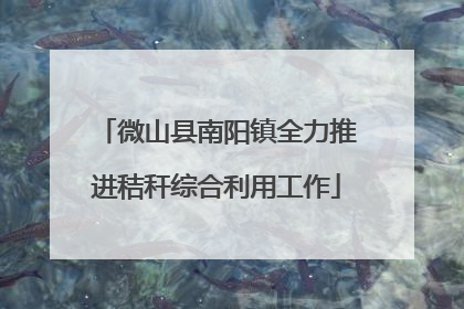 微山县南阳镇全力推进秸秆综合利用工作