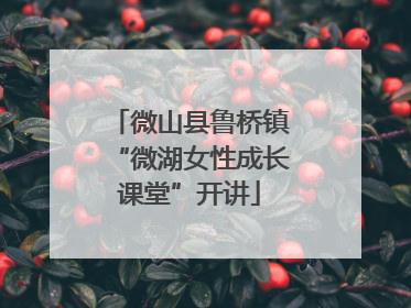 微山县鲁桥镇“微湖女性成长课堂”开讲