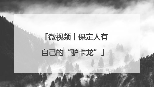 微视频丨保定人有自己的“驴卡龙”