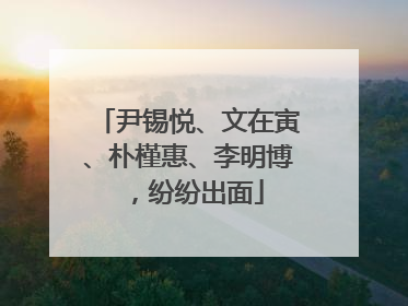 尹锡悦、文在寅、朴槿惠、李明博，纷纷出面