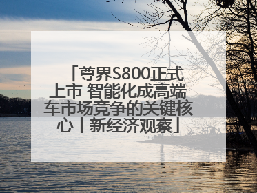 尊界S800正式上市 智能化成高端车市场竞争的关键核心丨新经济观察
