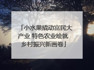 小水果撬动富民大产业 特色农业绘就乡村振兴新画卷