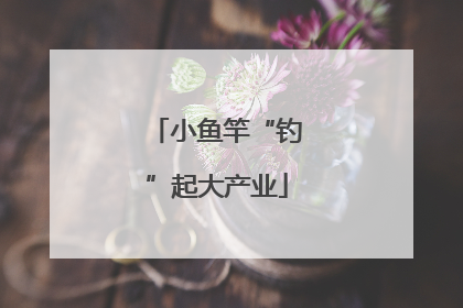 小鱼竿“钓”起大产业